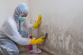 Mold Remediation for Vacation Homes in Sheridan, IN